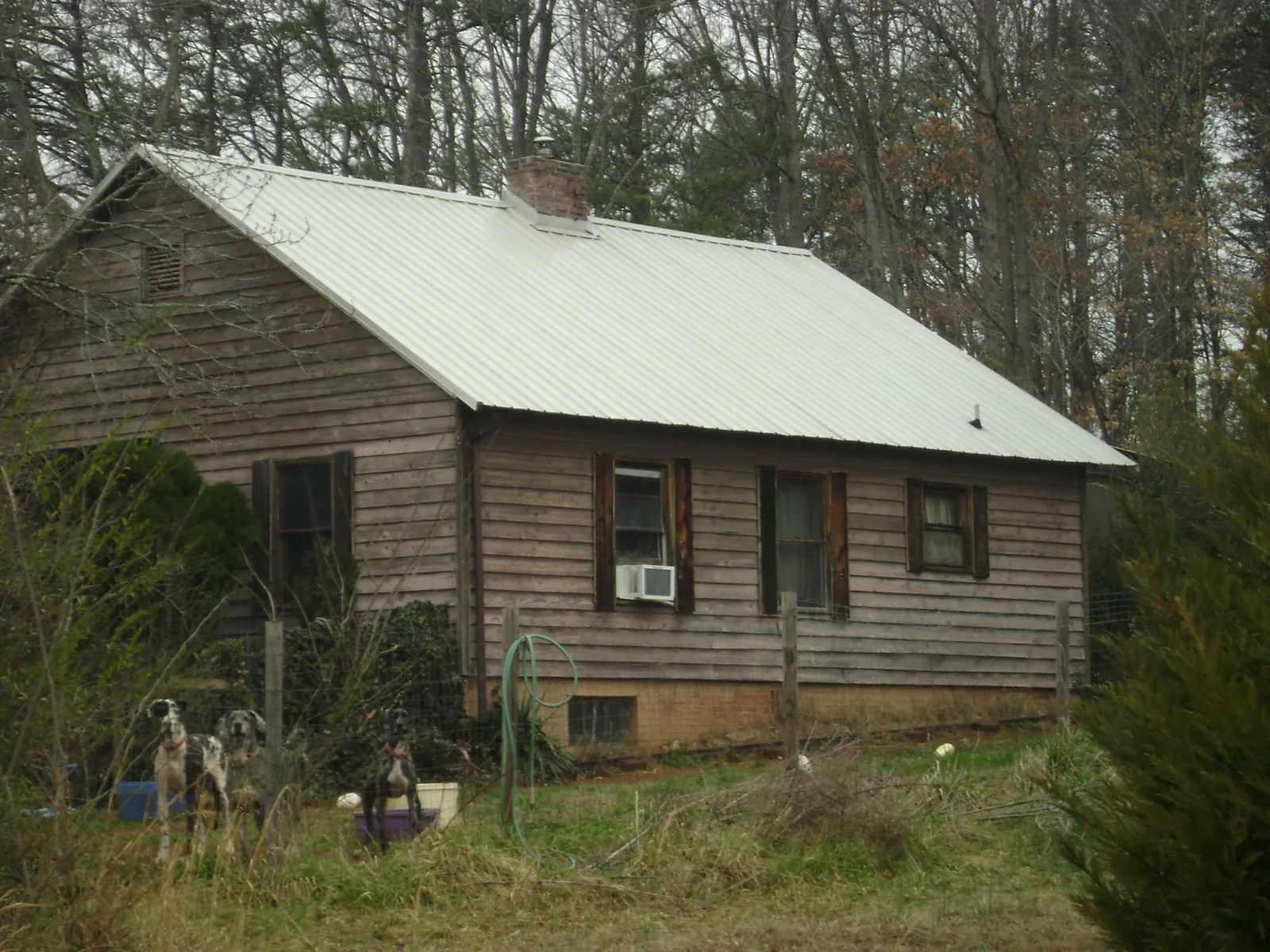 White metal roof on an old wood sided farmhouse, from a Asphalt Shingle Roof Repair job in Mineral City